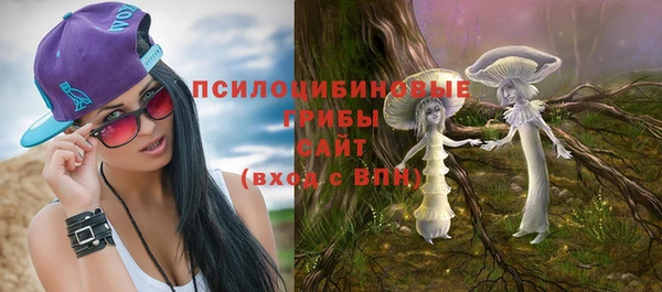 спиды Верея