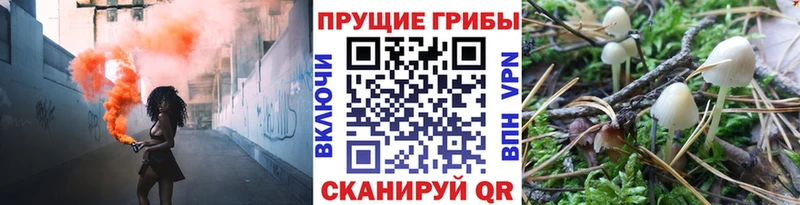 гидра зеркало  Джанкой  Псилоцибиновые грибы мухоморы 